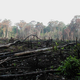 Image for article titled The Limits of the Earth